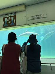 南知多ビーチランド＆南知多おもちゃ王国に投稿された画像（2026/5/6）