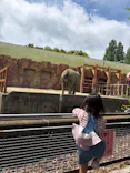 東武動物公園に投稿された画像（2026/5/6）