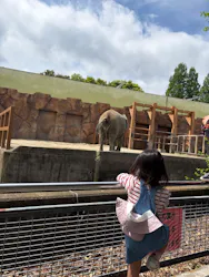 東武動物公園に投稿された画像（2026/5/6）