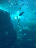 新江ノ島水族館に投稿された画像（2026/5/6）