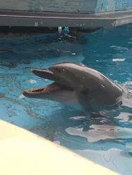 新江ノ島水族館に投稿された画像（2026/5/6）