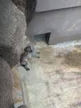 天王寺動物園に投稿された画像（2026/5/6）