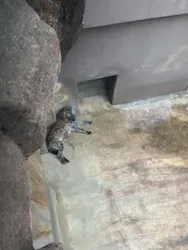 天王寺動物園に投稿された画像（2026/5/6）