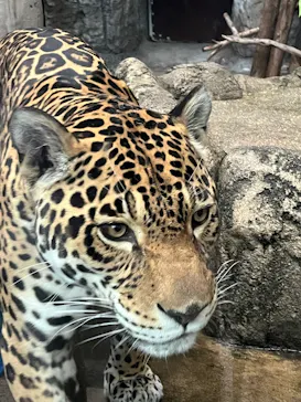 天王寺動物園に投稿された画像（2026/5/6）