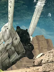 天王寺動物園に投稿された画像（2026/5/6）