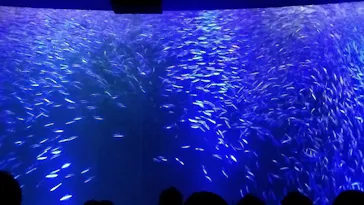 名古屋港水族館に投稿された画像（2026/5/6）