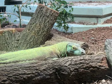 名古屋市東山動植物園に投稿された画像（2026/5/6）