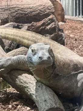名古屋市東山動植物園に投稿された画像（2026/5/6）