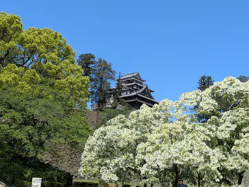 松江城に投稿された画像（2026/5/6）