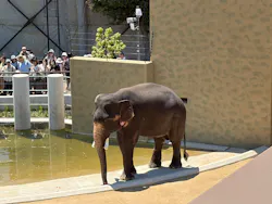 天王寺動物園に投稿された画像（2026/5/6）