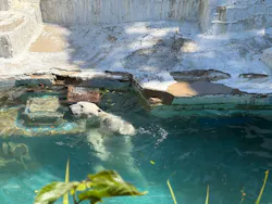 天王寺動物園に投稿された画像（2026/5/6）