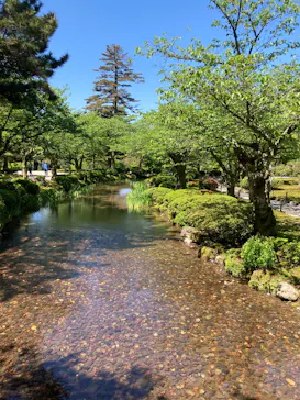 兼六園に投稿された画像（2026/5/6）