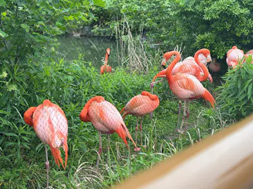 名古屋市東山動植物園に投稿された画像（2026/5/6）