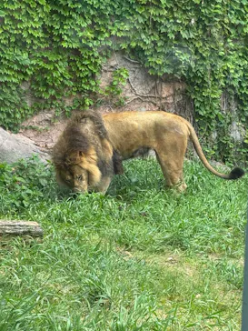 名古屋市東山動植物園に投稿された画像（2026/5/6）