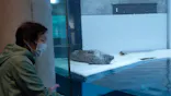 大分マリーンパレス水族館 「うみたまご」に投稿された画像（2026/5/6）