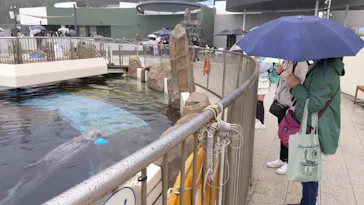 大分マリーンパレス水族館 「うみたまご」に投稿された画像（2026/5/6）