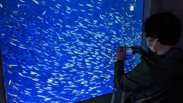 大分マリーンパレス水族館 「うみたまご」に投稿された画像（2026/5/6）