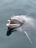 大分マリーンパレス水族館 「うみたまご」に投稿された画像（2026/5/6）