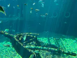 箱根園水族館に投稿された画像（2026/5/6）