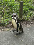 こども動物自然公園（埼玉県公園緑地協会）に投稿された画像（2026/5/6）
