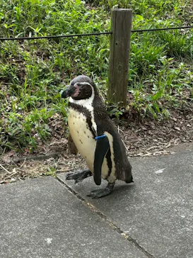 こども動物自然公園（埼玉県公園緑地協会）に投稿された画像（2026/5/6）