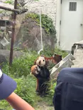 天王寺動物園に投稿された画像（2026/5/6）