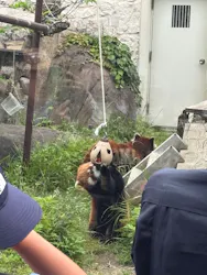天王寺動物園に投稿された画像（2026/5/6）