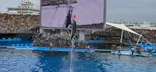 名古屋港水族館に投稿された画像（2026/5/6）