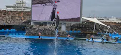 名古屋港水族館に投稿された画像（2026/5/6）