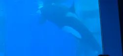 名古屋港水族館に投稿された画像（2026/5/6）