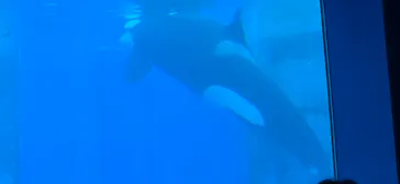 名古屋港水族館に投稿された画像（2026/5/6）