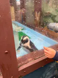 ゼロ距離水族館 伊勢シーパラダイスに投稿された画像（2026/5/6）