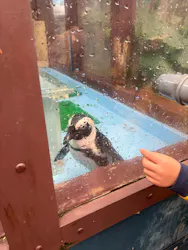 ゼロ距離水族館 伊勢シーパラダイスに投稿された画像（2026/5/6）