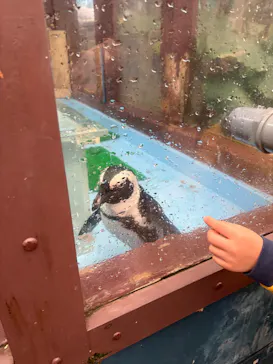 ゼロ距離水族館 伊勢シーパラダイスに投稿された画像（2026/5/6）
