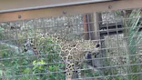 名古屋市東山動植物園に投稿された画像（2026/5/6）