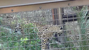 名古屋市東山動植物園に投稿された画像（2026/5/6）