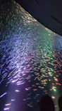 名古屋港水族館に投稿された画像（2026/5/6）