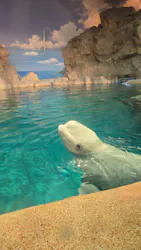 名古屋港水族館に投稿された画像（2026/5/6）