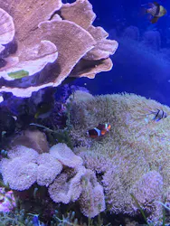名古屋港水族館に投稿された画像（2026/5/6）