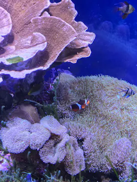 名古屋港水族館に投稿された画像（2026/5/6）