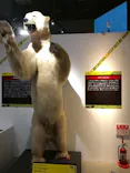 特別展「超危険生物展　科学で挑む生き物の本気」に投稿された画像（2026/5/6）
