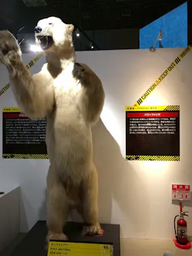 特別展「超危険生物展　科学で挑む生き物の本気」に投稿された画像（2026/5/6）