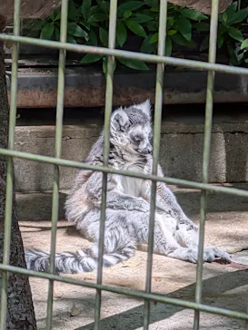 千葉市動物公園に投稿された画像（2026/5/6）