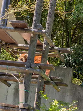 千葉市動物公園に投稿された画像（2026/5/6）