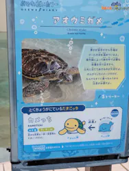 新江ノ島水族館に投稿された画像（2026/5/6）