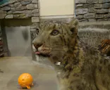 いしかわ動物園に投稿された画像（2026/5/6）