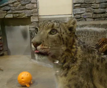 いしかわ動物園に投稿された画像（2026/5/6）