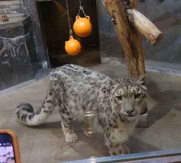 いしかわ動物園に投稿された画像（2026/5/6）