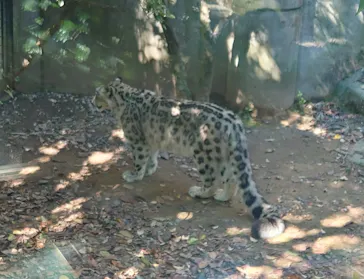 いしかわ動物園に投稿された画像（2026/5/6）