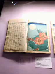 北斎・英泉 艶くらべー歌舞伎町花盛りー新宿歌舞伎町春画展WA 第2回に投稿された画像（2026/5/6）